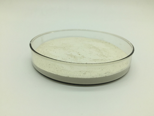 Mushroom Extract Beta Glucan Pure Plant Extracts 70% 80% 85%