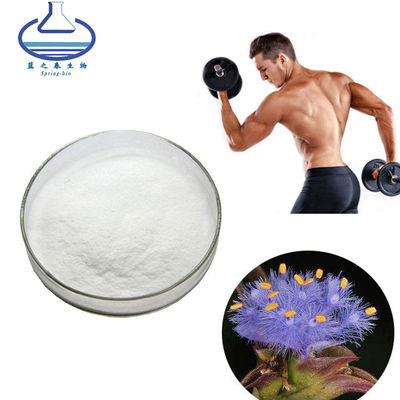 Natural Cyanotis Arachnoidea Extract Beta Ecdysterone Powder 5289-74-7