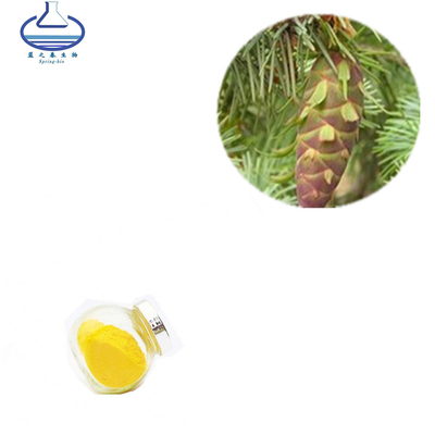 Larch Extract Antioxidant Dihydroquercetin Powder