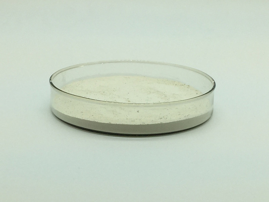 Mushroom Extract Beta Glucan Pure Plant Extracts 70% 80% 85%