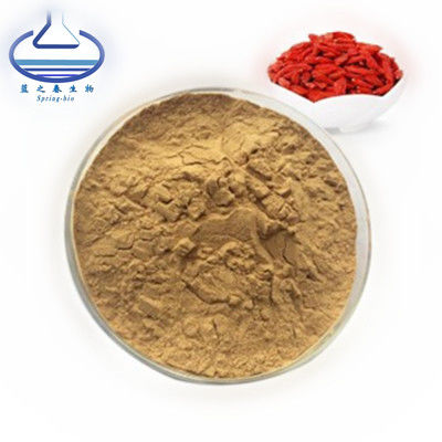 Pure Natural Lycium Barbarum Wolfberry Extract Polysaccharides Powder