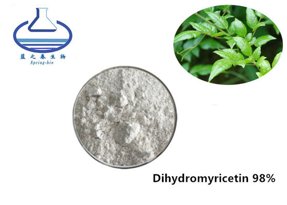 Dihydromyricetin 98% Vine Tea Extract 2 Years Shelf life For Protecting Hangover