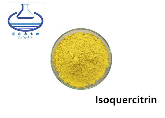 98% Organic Licorice Extract , 482-35-9 Sophora Japonica Flower Extract Isoquercetin