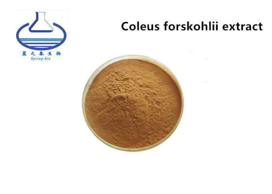 Forskolin Organic Licorice Extract , Coleus Forskohlii Root Extract 20%