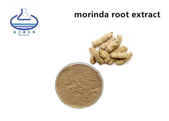 Wholesale Bulk pure natural Brown Powder Morinda Officinalis Extract